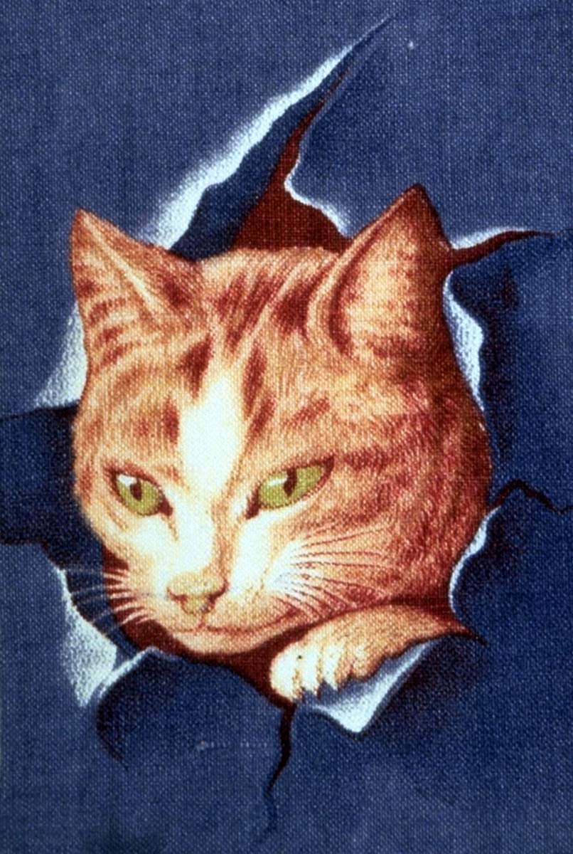 http://www.cslogos.it/uploads/images/ANZIANI/GATTO14.JPG