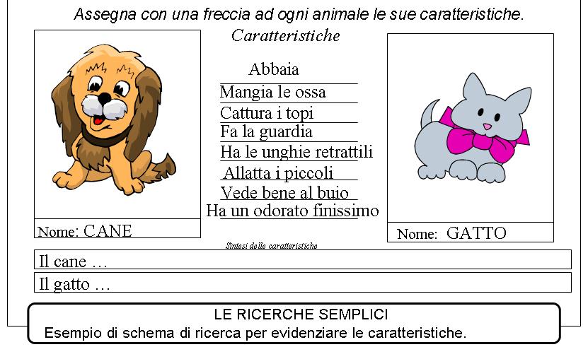 http://www.cslogos.it/uploads/images/Diapositiva10.JPG