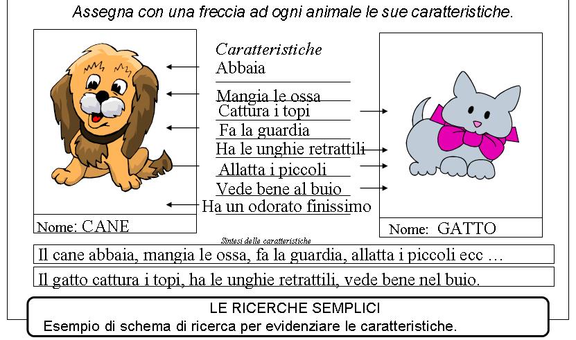 http://www.cslogos.it/uploads/images/Diapositiva11.JPG
