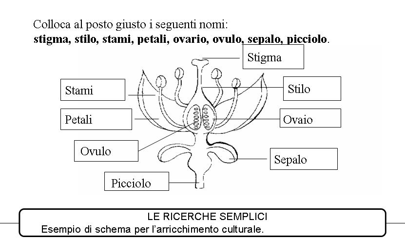 http://www.cslogos.it/uploads/images/Diapositiva15.JPG