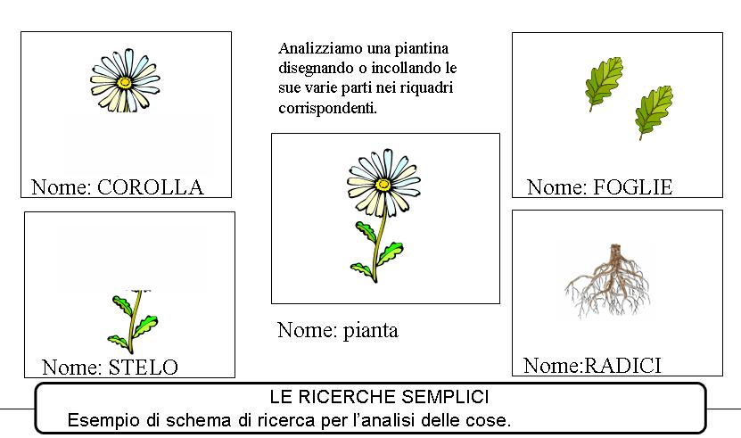 http://www.cslogos.it/uploads/images/Diapositiva9.JPG