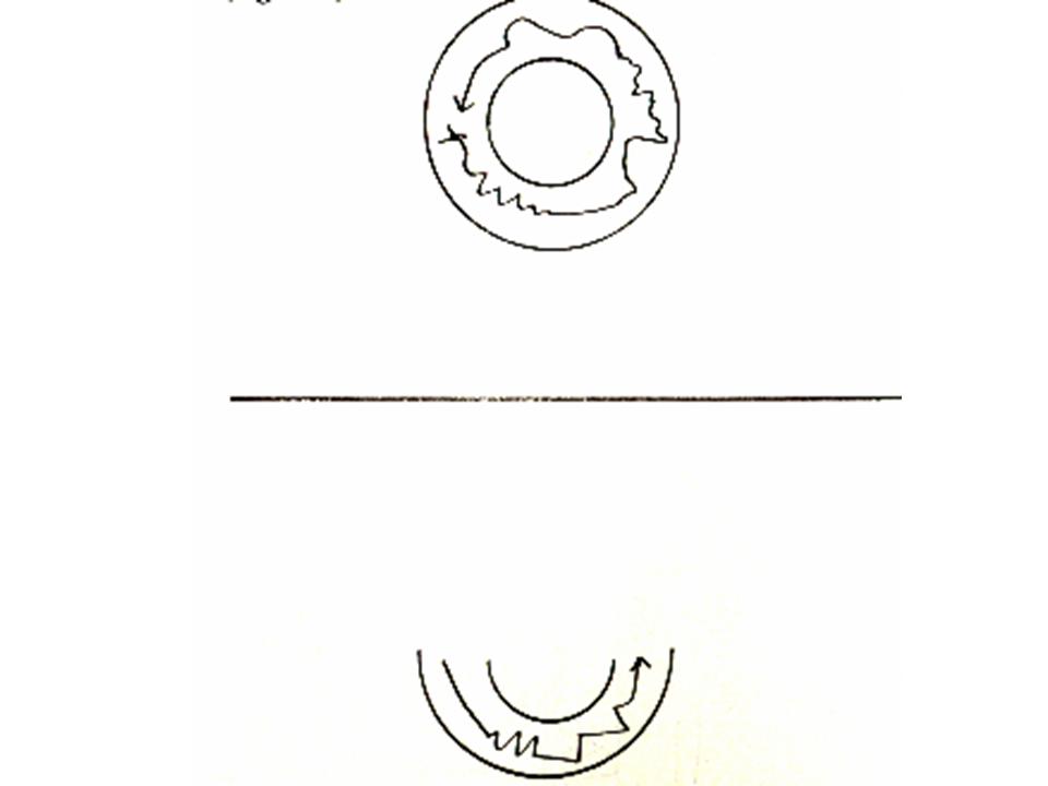 http://www.cslogos.it/uploads/images/PRESCRITTURA/PRESCRITTURA1/Diapositiva56.JPG