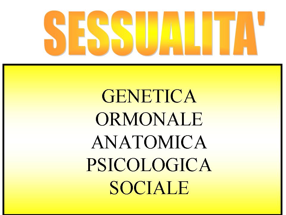 http://www.cslogos.it/uploads/images/SESSULITA%27/Diapositiva1.JPG