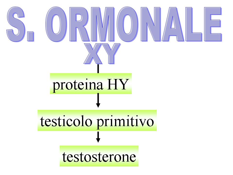 http://www.cslogos.it/uploads/images/SESSULITA%27/Diapositiva4.JPG