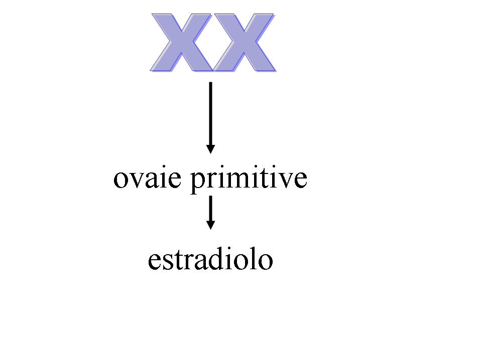 http://www.cslogos.it/uploads/images/SESSULITA%27/Diapositiva9.JPG