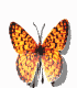 http://www.cslogos.it/uploads/images/animate/anigif07.gif
