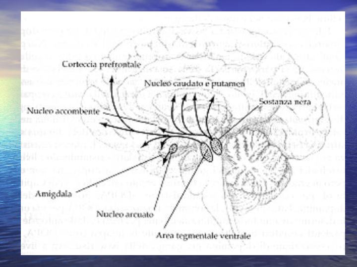 http://www.cslogos.it/uploads/images/gestione%20emozioni1/Diapositiva4.jpg