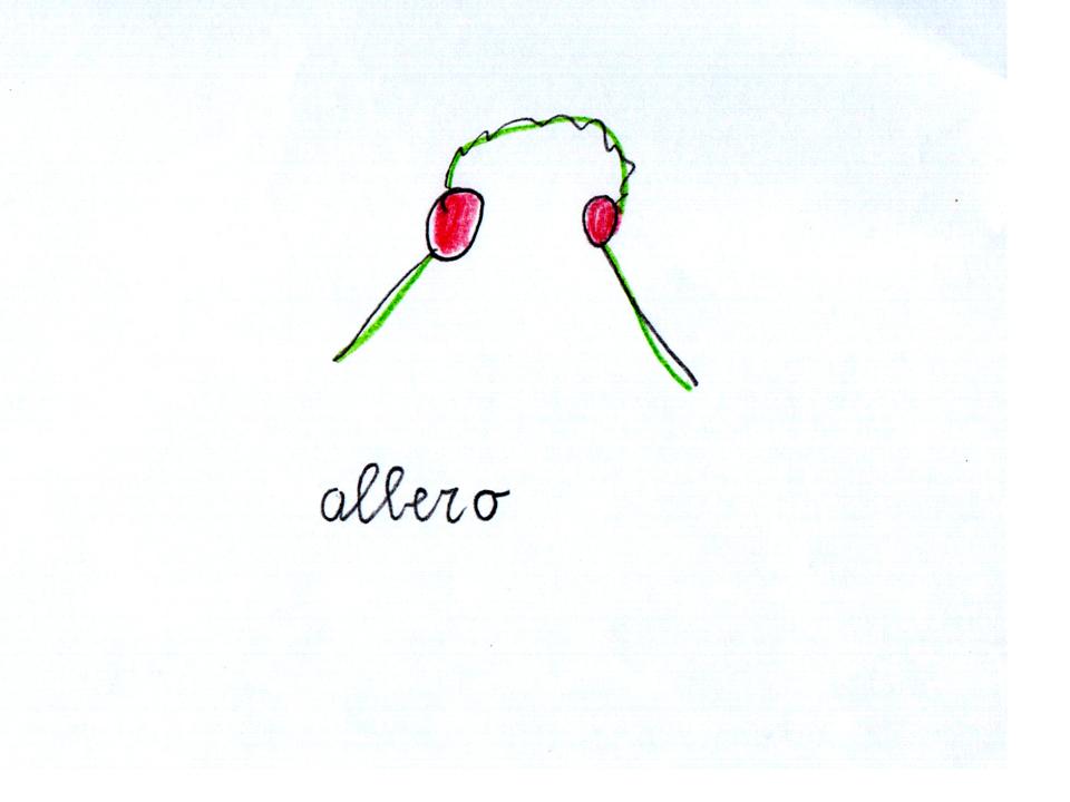 http://www.cslogos.it/uploads/images/disegno/BILLA%20ANTONIO/Diapositiva1.JPG